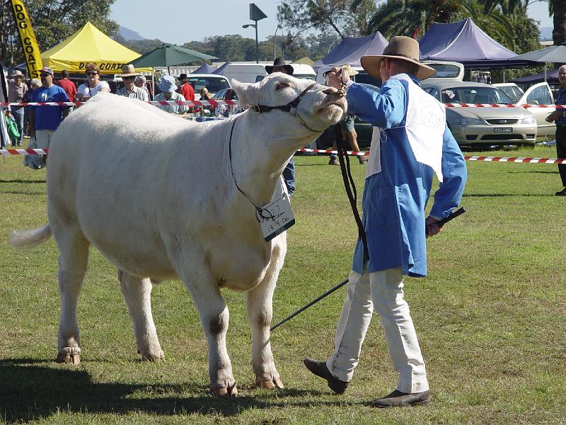beef-week 070.jpg